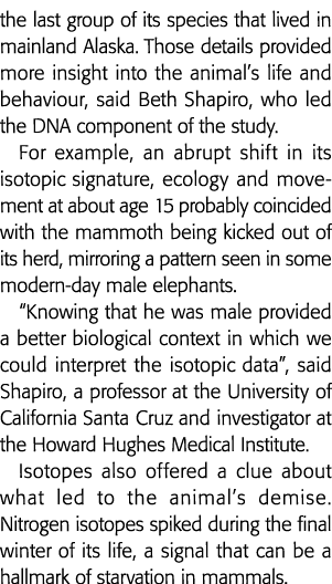 the last group of its species that lived in mainland Alaska  Those details provided more insight into the animal s li   