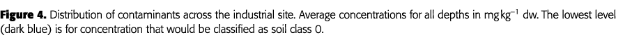 Figure 4  Distribution of contaminants across the industrial site  Average concentrations for all depths in mg kg 1     