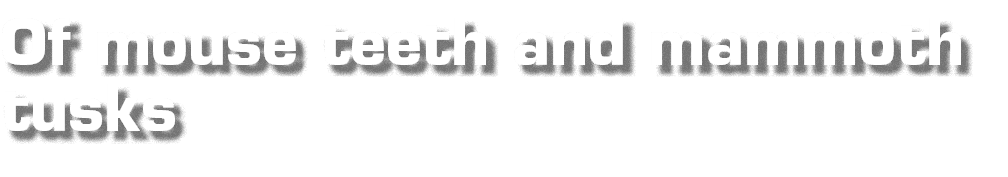 Of mouse teeth and mammoth tusks