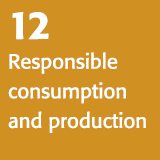 12 Responsible consumption and production