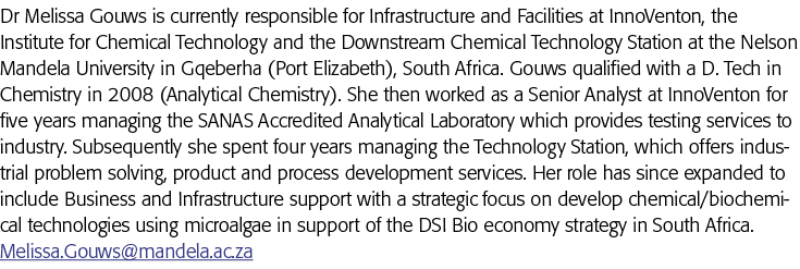 Dr Melissa Gouws is currently responsible for Infrastructure and Facilities at InnoVenton, the Institute for Chemical   