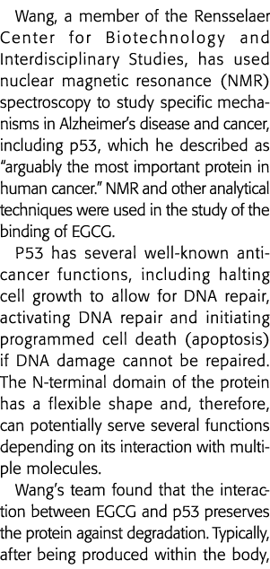 Wang, a member of the Rensselaer Center for Biotechnology and Interdisciplinary Studies, has used nuclear magnetic re   