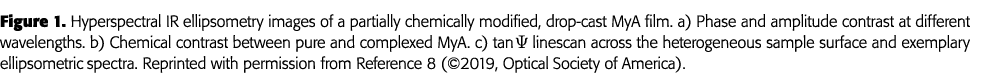 Figure 1  Hyperspectral IR ellipsometry images of a partially chemically modified, drop-cast MyA film  a) Phase and a   