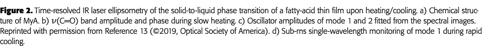 Figure 2  Time-resolved IR laser ellipsometry of the solid-to-liquid phase transition of a fatty-acid thin film upon    