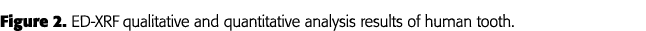 Figure 2  ED-XRF qualitative and quantitative analysis results of human tooth 
