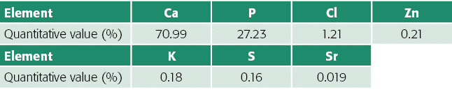 Element,Ca,P,Cl,Zn,Quantitative value (%),70 99,27 23,1 21,0 21,Element,K,S,Sr,,Quantitative value (%),0 18,0 16,0 019,