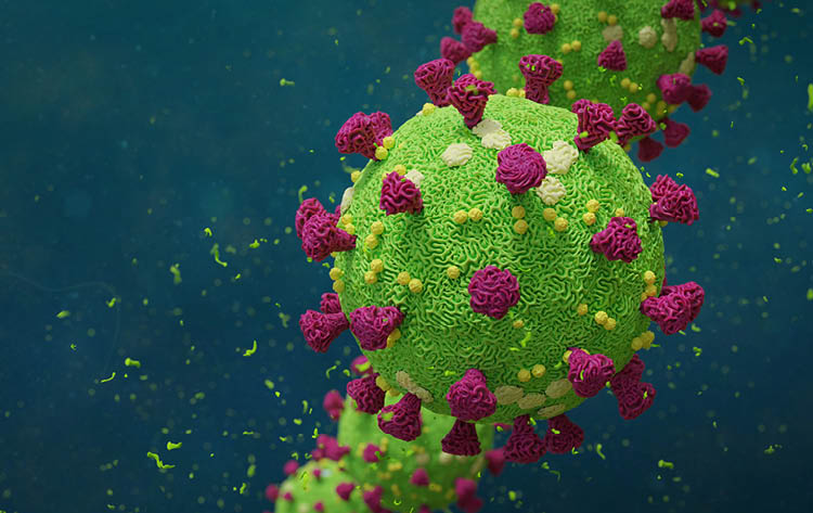 Covid-19 coronavirus, virus that causes acute respiratory infections and the common cold, Sars-CoV-2 background with copy space (3d microbiology render banner)   