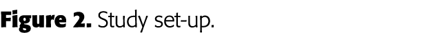 Figure 2  Study set-up 
