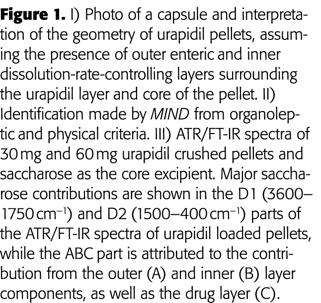 Figure 1  I) Photo of a capsule and interpretation of the geometry of urapidil pellets, assuming the presence of oute   