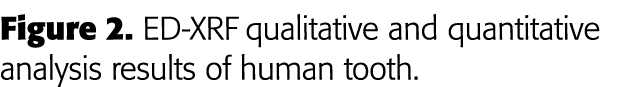 Figure 2  ED-XRF qualitative and quantitative analysis results of human tooth 