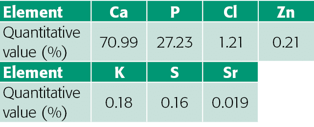 Element,Ca,P,Cl,Zn,Quantitative value (%),70 99,27 23,1 21,0 21,Element,K,S,Sr,,Quantitative value (%),0 18,0 16,0 019,