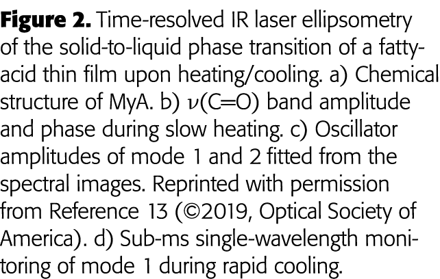 Figure 2  Time-resolved IR laser ellipsometry of the solid-to-liquid phase transition of a fatty-acid thin film upon    