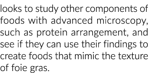 looks to study other components of foods with advanced microscopy, such as protein arrangement, and see if they can u   