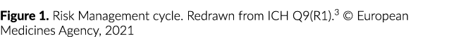 Figure 1  Risk Management cycle  Redrawn from ICH Q9(R1) 3   European Medicines Agency, 2021