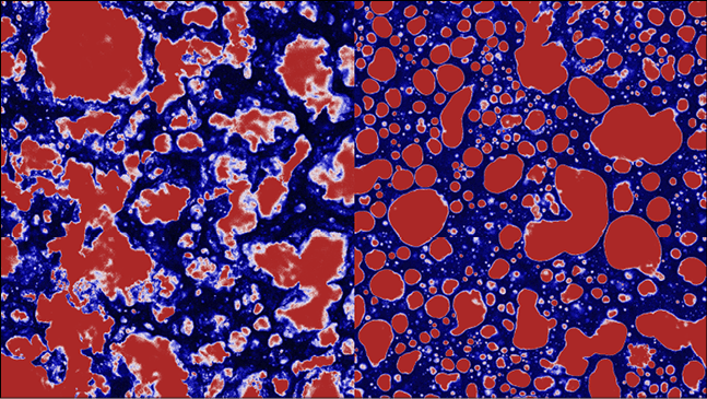 Microscopic structure of fat showing the texture differences between foie gras and pâté
