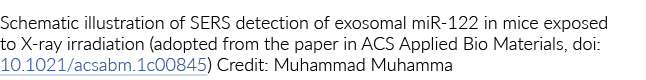 Schematic illustration of SERS detection of exosomal miR-122 in mice exposed to X-ray irradiation (adopted from the p   