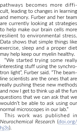 pathways becomes more difficult, leading to changes in learning and memory  Furber and her team are currently looking   