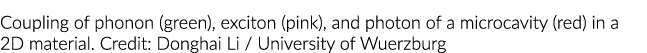 Coupling of phonon (green), exciton (pink), and photon of a microcavity (red) in a 2D material  Credit: Donghai Li      