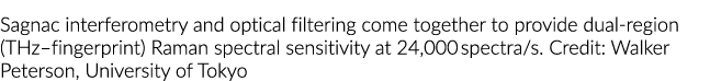 Sagnac interferometry and optical filtering come together to provide dual-region (THz fingerprint) Raman spectral sen   
