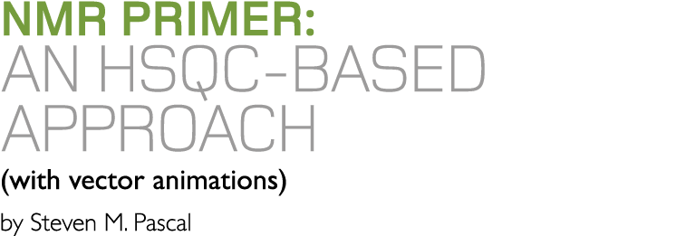 NMR PRIMER: AN HSQC-BASED APPROACH (with vector animations) by Steven M  Pascal 