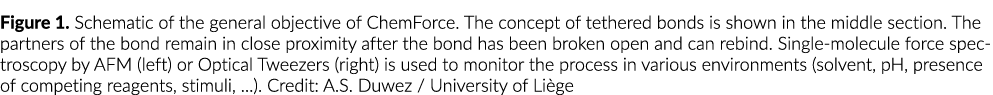 Figure 1  Schematic of the general objective of ChemForce  The concept of tethered bonds is shown in the middle secti   