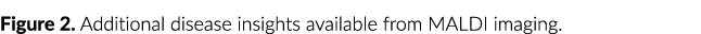 Figure 2  Additional disease insights available from MALDI imaging 