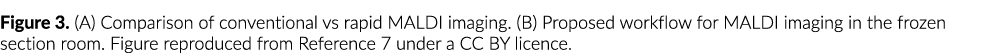 Figure 3  (A) Comparison of conventional vs rapid MALDI imaging  (B) Proposed workflow for MALDI imaging in the froze   
