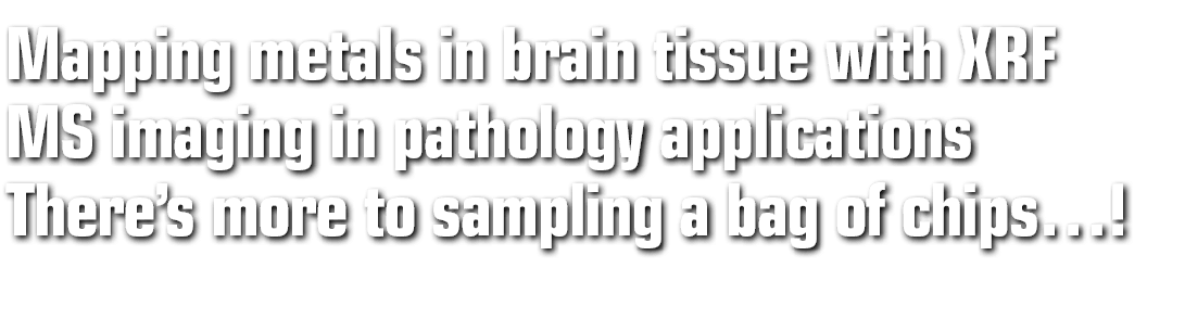 Mapping metals in brain tissue with XRF MS imaging in pathology applications There s more to sampling a bag of chips  
