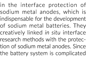 in the interface protection of sodium metal anodes, which is indispensable for the development of sodium metal batter   