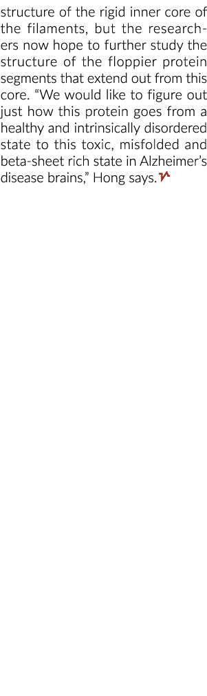 structure of the rigid inner core of the filaments, but the researchers now hope to further study the structure of th   