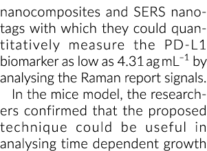 nanocomposites and SERS nanotags with which they could quantitatively measure the PD-L1 biomarker as low as 4.31 ag m...