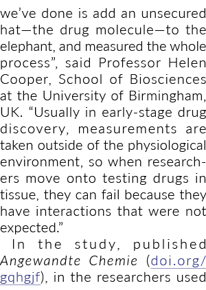 we’ve done is add an unsecured hat—the drug molecule—to the elephant, and measured the whole process”, said Professor...
