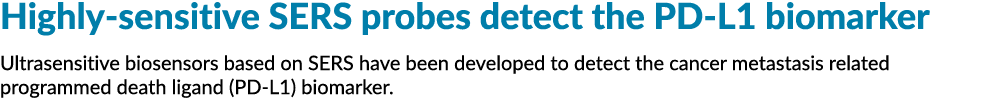 Highly-sensitive SERS probes detect the PD-L1 biomarker Ultrasensitive biosensors based on SERS have been developed t...