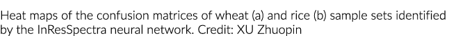 Heat maps of the confusion matrices of wheat (a) and rice (b) sample sets identified by the InResSpectra neural netwo...