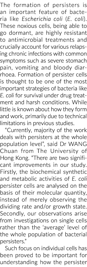 The formation of persisters is an important feature of bacteria like Escherichia coli (E. coli). These noxious cells,...