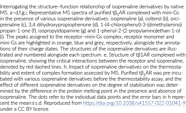 Interrogating the structure–function relationship of isoprenaline derivatives by native MS. a–d,f,g,i, Representative...