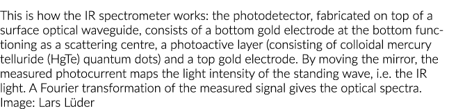 This is how the IR spectrometer works: the photodetector, fabricated on top of a surface optical waveguide, consists ...