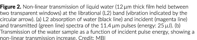 Figure 2. Non linear transmission of liquid water (12 µm thick film held between two transparent windows) at the libr...