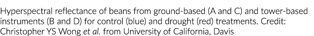Hyperspectral reflectance of beans from ground based (A and C) and tower based instruments (B and D) for control (blu...