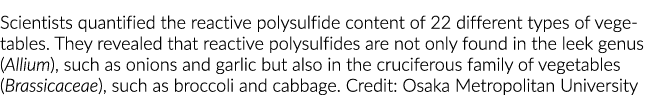 Scientists quantified the reactive polysulfide content of 22 different types of vegetables. They revealed that reacti...