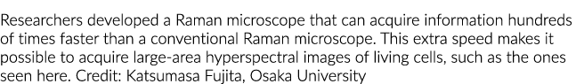 Researchers developed a Raman microscope that can acquire information hundreds of times faster than a conventional Ra...