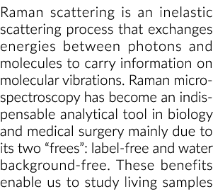 Raman scattering is an inelastic scattering process that exchanges energies between photons and molecules to carry in...
