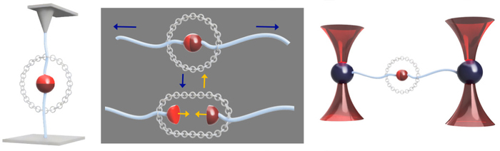 Schematic of the general objective of the ChemForce project