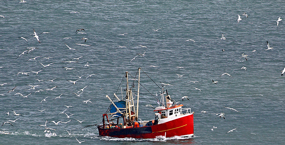 Photo of a fishing boat at sea