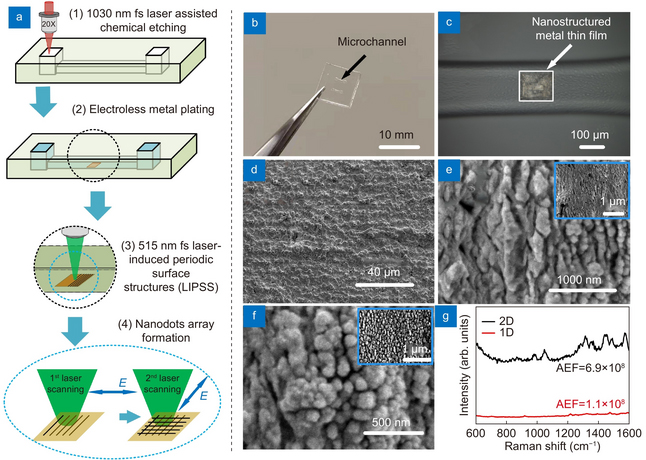 Schematic of the fabrication, photograph of microfluidic SERS chip, optical microscope image showing the SERS substrate, SEM images of original metal film, ripples generated by first laser scanning and nanodots generated by second laser scanning, Raman spectra of 10–9 M Rhodamine 6G (on 2-D and 1-D nanostructured SERS substrates