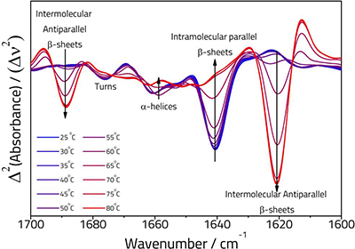 Protein spectra