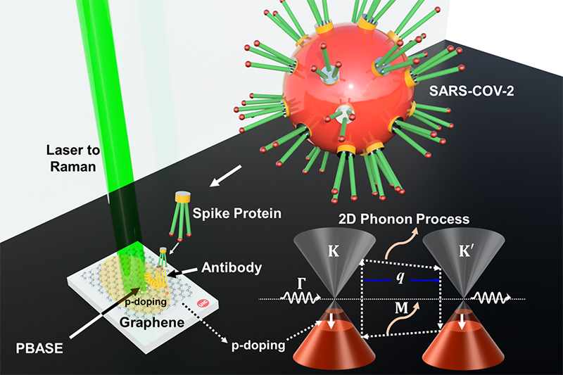 Graphene and Raman spectroscopy can detect COVID19 quickly