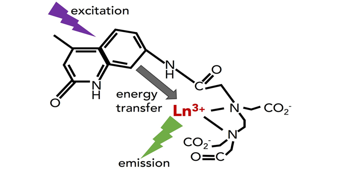 Diagram of the reaction