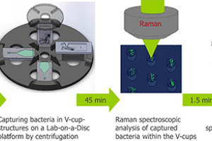 Schematic of the workflow of the Lab-on-a-Disc device