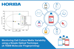 Diagram of monitoring cell culture media